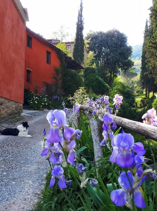 Appartement Uno Spazio Di Relax In Toscana à Buti Extérieur photo